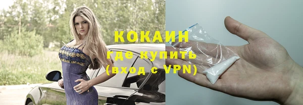 шишки Арсеньев