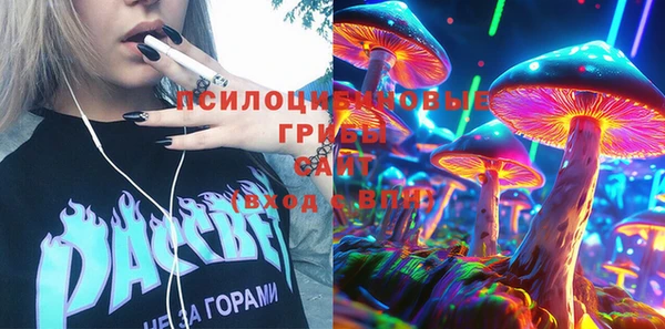 прущие грибы Армянск