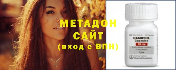 шишки Арсеньев