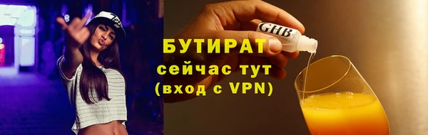 шишки Арсеньев