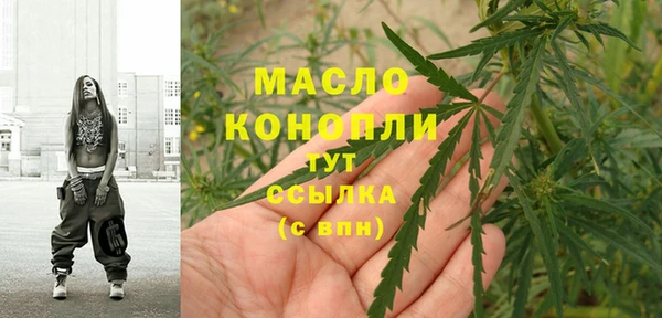шишки Арсеньев