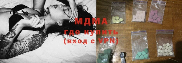 шишки Арсеньев