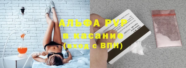 шишки Арсеньев
