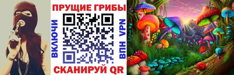 Псилоцибиновые грибы Psilocybe  Аркадак 